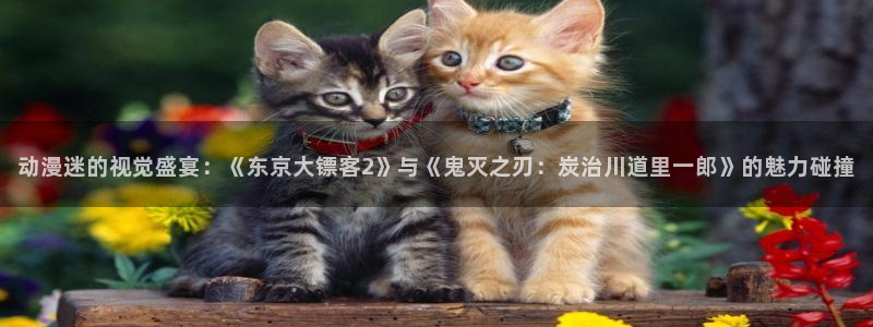 omofun动漫视频网提供最新最快的动漫新番